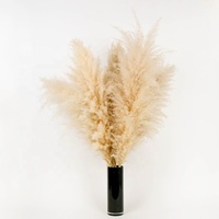 Grande Herbe de la Pampa Blanche Décorative de 120 cm pour la Maison et les Mariages, Fleurs Séchées Naturelles pour les Décorations de Pâques et d'Halloween