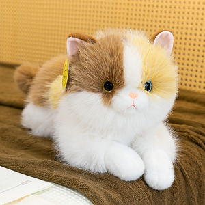 ตุ๊กตา<span class=keywords><strong>แมว</strong></span>คาลิโกเหมือนจริง ตุ๊กตาเปอร์เซียจำลอง ขนนุ่ม น่ากอด สร้างความอบอุ่นใจ ของเล่นนุ่มนิ่ม ขายส่ง รับผลิตแบบ OEM - Product Image 2