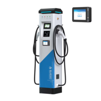 Borne de recharge AC Bluesky 44KW DC à double connecteur avec paiement par carte bancaire pour véhicules électriques en Chine, sur pied