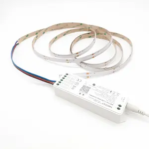 Led Strip APP Or Wifi 12v 24v Remote Controlled 5050 2835 COB RGB Smart strip Light /led light strip /RGB Led Strip Light