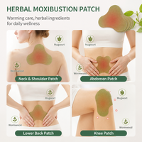 Patch de Moxibustion à l'Armoise Pure, Certifié CE Classe I, pour Soulager la Raideur du Cou – OEM/ODM Disponibles