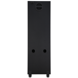 Diamond Audio-<strong>Portable</strong> Indoor&amp;outdoor Party <strong>Karaoke</strong> <strong>Machine</strong> - Product Image 6