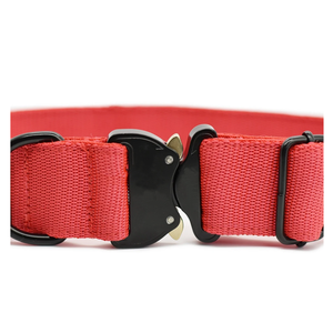 <span class=keywords><strong>Collar</strong></span> de perro táctico personalizado, gran calidad, fuerte, grueso, resistente, hebilla de Metal, para perro - Product Image 3