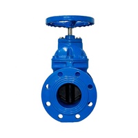 Vanne de porte d'eau à clapet Non vertical, siège surélevé en fonte pour eau et huile, BS5163