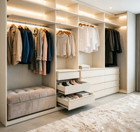 Système de dressing ouvert moderne sur mesure avec armoire intégrée et éclairage LED pour dressing