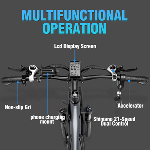 Vélo électrique Ridstar E26 26 pouces 15Ah 1000W 21 vitesses avec batterie au lithium rechargeable pour personnes âgées, batterie Ni-MH E26, vélo électrique E2 - Product Image 4