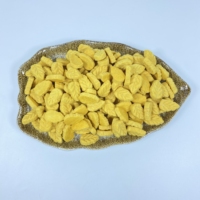 Friandises de citrouille lyophilisées en gros, naturelles, riches en fibres, saines pour l'intestin, biscuits pour chiens à la citrouille, approvisionnement en vrac, friandises pour chats et chiens