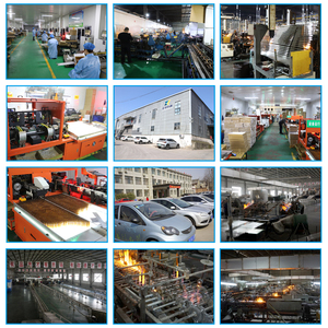 หลอดแก้วบรรจุยามาตรฐาน I II III รุ่น 2R/4R/6R/8R/10R/15R/20R/25R/30R รูปทรงแบน บรรจุในกล่อง - Product Image 5