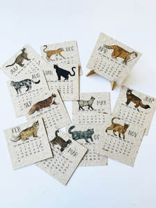 <span class=keywords><strong>Calendrier</strong></span> Plantable en papier, vente en gros, kit de plantes d'herbes <span class=keywords><strong>2023</strong></span> - Product Image 3