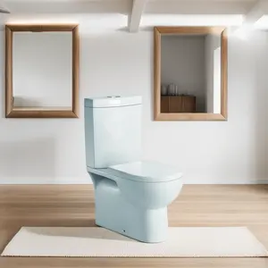 टैंक के साथ लक्जरी फुट फ्लश स्मार्ट शौचालय, रिमोट कंट्रोल के साथ स्वचालित शौचालय, बुद्धिमान शौचालय
