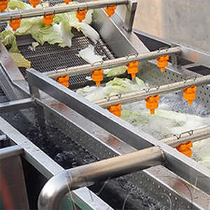 Lavadora de Burbujas para Hojas, Cebolla, Brócoli, Aguacate - Product Image 3