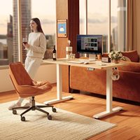 Bureau debout personnalisé populaire 2026 Officeworks – Bureau informatique réglable en hauteur à moteur unique