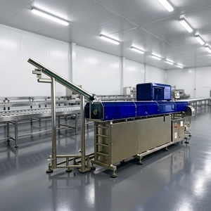 Línea de Producción Integrada con Alimentación Automática de Tapas de Aluminio, Marcado Láser, Lectura/Verificación/Rechazo de Códigos - Product Image 1
