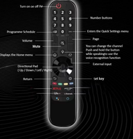Nouvelle télécommande vocale de remplacement AN-MR20GA AN-MR24GA AN-MR24GN UTILISATION pour téléviseur intelligent LG Télécommande magique