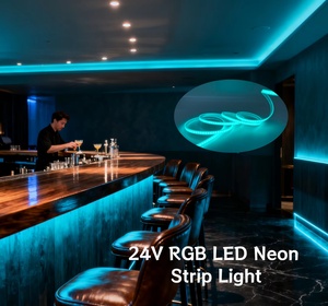 Bande LED néon 24V RGB IP67 étanche avec connexion USB pour <span class=keywords><strong>piscine</strong></span> extérieure, bar, bâtiment, pont, projet minier souterrain - Product Image 1