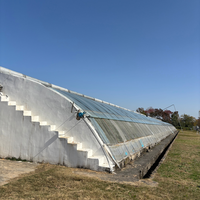 Serre agricole commerciale intelligente de grande taille à plusieurs travées, système hydroponique, bâche de couverture, largeur de baie de 4 m, galvanisation à chaud