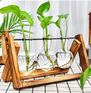 <span class=keywords><strong>Vase</strong></span> à fleurs en verre pour plantes hydroponiques, dispositif de décoration créatif avec cadre en bois, 1 pièce - Product Image 2