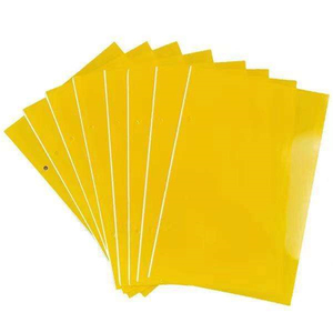 Trampas Adhesivas Amarillas, Atrapa Insectos para Moscas de la Fruta, Mosquitos Blancos, Pulgones y Mosquitos del Hongo, Papel Adhesivo para Jardín Exterior - Product Image 1