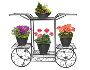 Fashion Iron Flower Basket Decoration Metal cast Iron Flower Pot Black Metal Plant Pot Stand - Product Image 5
