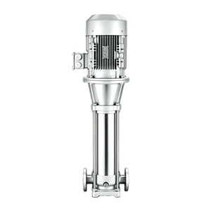 Pompe centrifuge verticale multi-étages série AS2 pour le transfert d'huiles, d'alcool, d'acides, d'alcalis, d'éthylène glycol et de liquides de refroidissement - Product Image 1