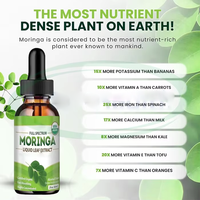 Huile de Moringa Biologique en Gros, Extrait de Feuilles Liquide, Boisson, Prix, Berbérine, Vitamine C, Compléments Énergisants, Boost Immunitaire, Gouttes de Moringa
