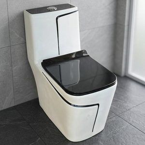 WC monobloc en céramique blanche à double chasse d'eau, coloré, pour salle de bain moderne - Vente en gros - Product Image 1