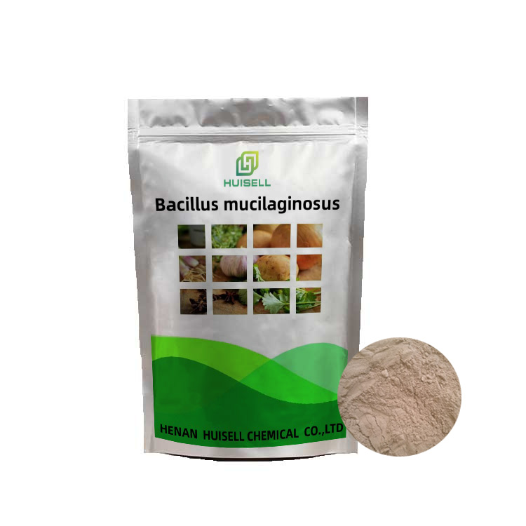 Кондиционер почвы-фиксация азота-бактериальное удобрение-Дора Bacillus Mucilaginosus