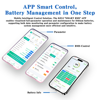 BMS 100A 8S 24V con Protección de Baja Temperatura y Equilibrio de Celdas contra Cortocircuitos para Baterías LiFePO4, Compatible con Sistemas Solares Domésticos ESS y ANT BMS