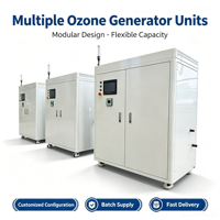 Générateur d'ozone haute pureté 5 à 80 g/h pour le traitement de l'eau circulante, élimination des algues, élimination des bactéries
