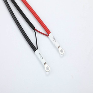 Nieuwe PVC koperen draadboom bull horn plug <span class=keywords><strong>2</strong></span>.54 <span class=keywords><strong>2</strong></span> 20P op maat gemaakte lengte OEM ODM batterijverbindingskabelassemblage - Product Image 3