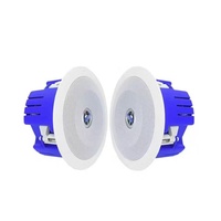 Système de sonorisation professionnel, haut-parleur de plafond, tweeter coaxial de 5 à 6,5 pouces, 20W 30W 70V 100V, haut-parleur de musique d'ambiance haute fidélité