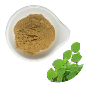 Kualitas tinggi Icariin ekstrak Epimedium bubuk ekstrak rumput kambing Horny - Product Image 2