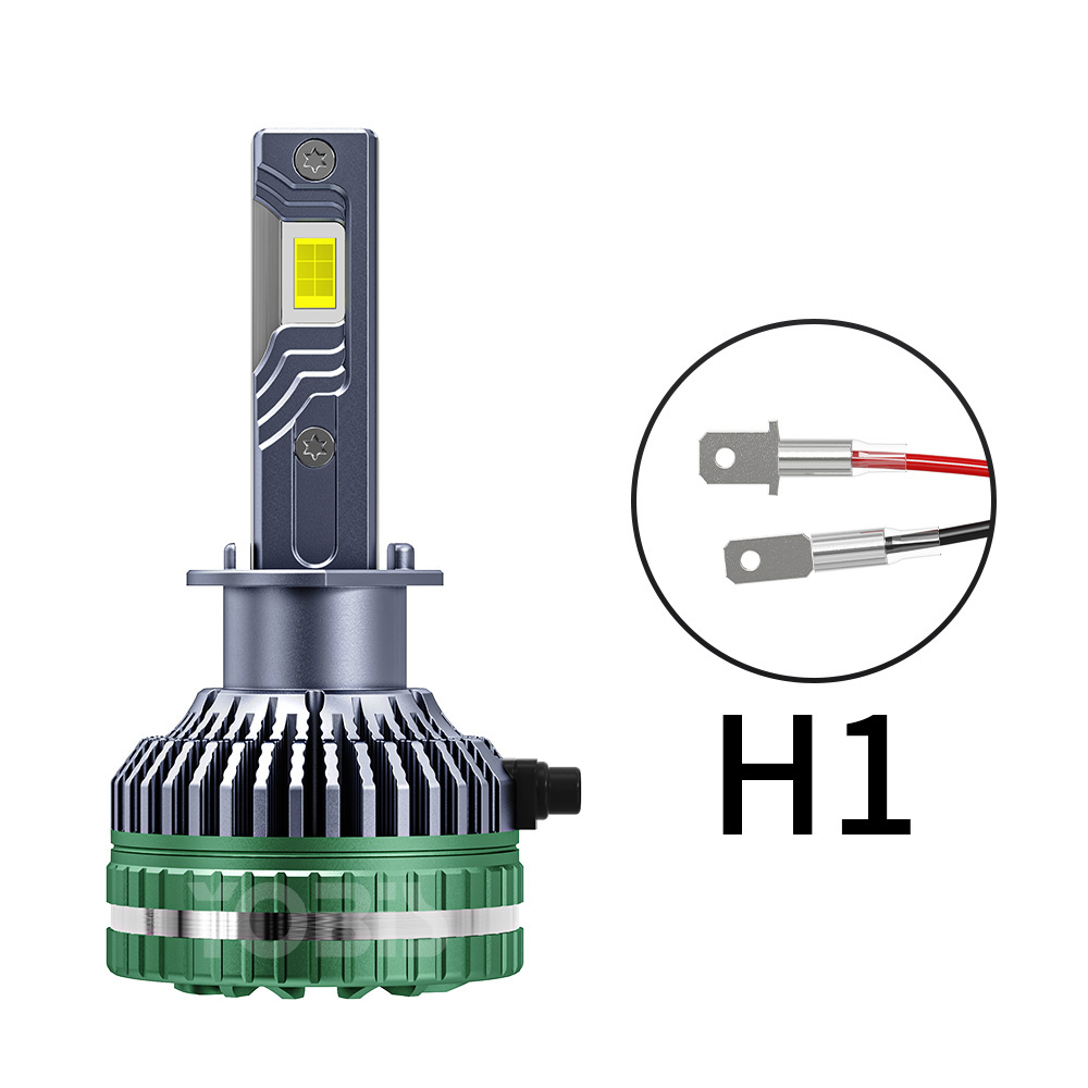 H1