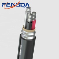 Cables Armados con Conductor de Aluminio ACWU 90 de 600V con Aislamiento XLPE IP68 para Estaciones de Energía, Minería Industrial y Construcción