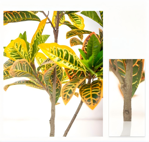 โรงงานนี้ให้ความรู้สึกหรูหราอย่างยิ่งและมีเครื่องปรับอากาศขนาดใหญ่ภายในอาคาร พร้อมจำหน่ายต้นไม้ประดิษฐ์ โคเดียตัม วาเรียกัตัม - Product Image 6