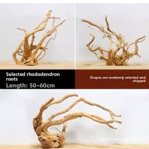 Branches de bois flotté naturel pour la décoration d'aquariums, avec des caractéristiques de racinement pour plantes aquatiques - Product Image 4