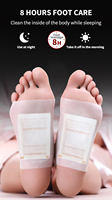 Patch pour pieds détox aux herbes naturelles 2 en 1 Coussinets pour pieds ISO Logo personnalisé Accepter 2 ans Coussinets pour pieds détox CN;SHN