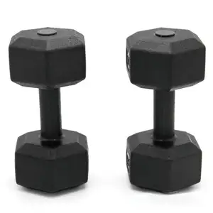 Pabrik grosir 22 Lbs Hexagon Dumbbell peralatan angkat Workout Dumbbel