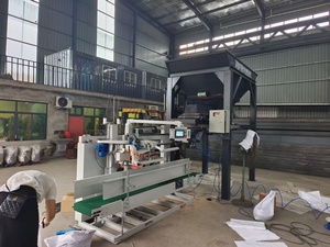 Machine automatique de pesage et d'emballage pour matériaux mixtes (<span class=keywords><strong>sable</strong></span>, <span class=keywords><strong>gravier</strong></span>, terre) avec ensacheuse à bande - Product Image 6