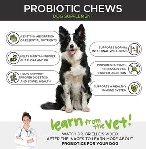 Private Label <b>Dog</b> Probiotics Chews Digestive Probiotic Soft Chews for <b>Dogs</b> With Chondroitin & Msm for <b>Dogs</b> Improve Mobility - Product Image 2