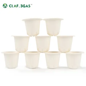 100% Degradable Bagasse Eco Friendly Biodegradable Bagasse Pulp Coffee K Cup Disposable