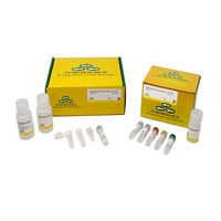 Kit de préparation de bibliothèque ATAC Zymo-Seq pour l'analyse de l'accessibilité du chromatine, compatible avec Illumina
