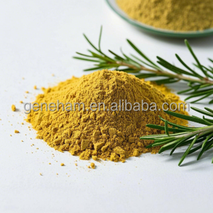 Ekstrak Rosemary <span class=keywords><strong>Natural</strong></span> Food Grade, untuk solusi perawatan berbasis tanaman hewan peliharaan dalam kemasan Drum suplemen bubuk asam Carsonic - Product Image 3