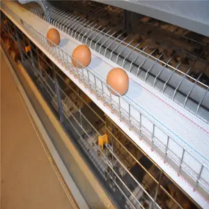 Totalmente automático H Frame Equipo de granja avícola Capa de pollo Sistema de jaula de batería Pollo