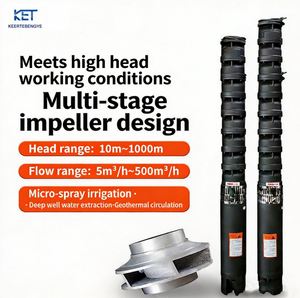 Bomba Sumergible Trifásica Multietapa 200QJ de Acero Inoxidable con Diseño de Impulsor Multietapa y Alta Capacidad de Elevación de 3 Pulgadas - Product Image 1