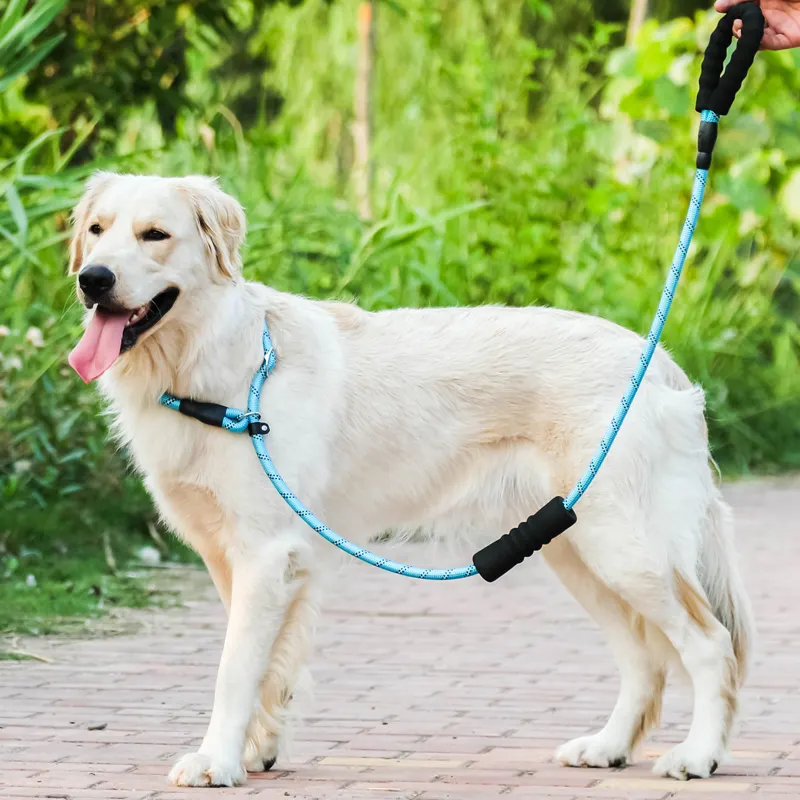 Amazon 2022 Top Sale Outdoor Pet Toy Reflective Nylon nylon pet rope heavy duty rope dog leash pet leash