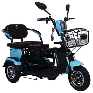 Xe Điện 3 Bánh Có Động Cơ Ba Xe Ba Bánh Khác Hành Khách E Trike