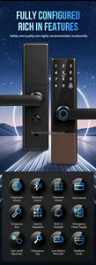 Serrures de porte intelligentes connectées à <span class=keywords><strong>l</strong></span>'application Tuya Wifi et TTlock, serrures électroniques intelligentes pour portes en bois et en acier, prix avantageux - Product Image 3