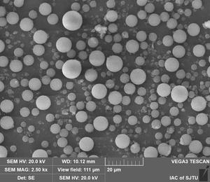 Amostra Grátis HAIYUE Agente Expansível Microsfera para TPV PP PE para Microsferas em Solas de Sapatos SBS - Product Image 3