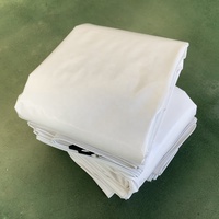 Bâche robuste en PE laminé blanc, imperméable, bleue, pour camping, protection solaire, enroulable, avec bords renforcés, pour garçons